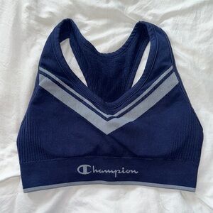 Champion Dark Blue Sports Bra with Gray Stripes